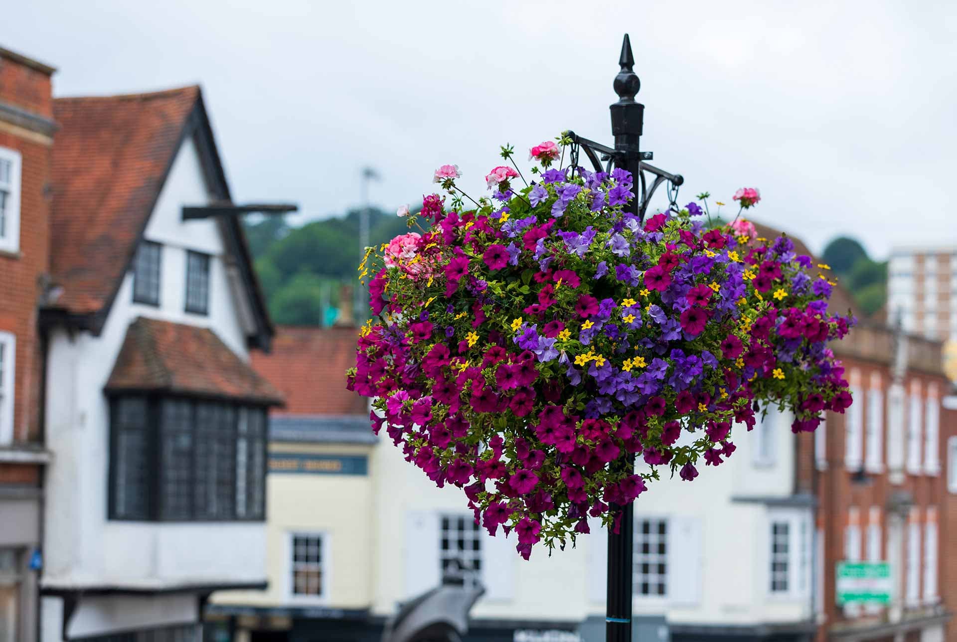 <span style="font-size:45px;">History, Nature, and Connectivity</span>