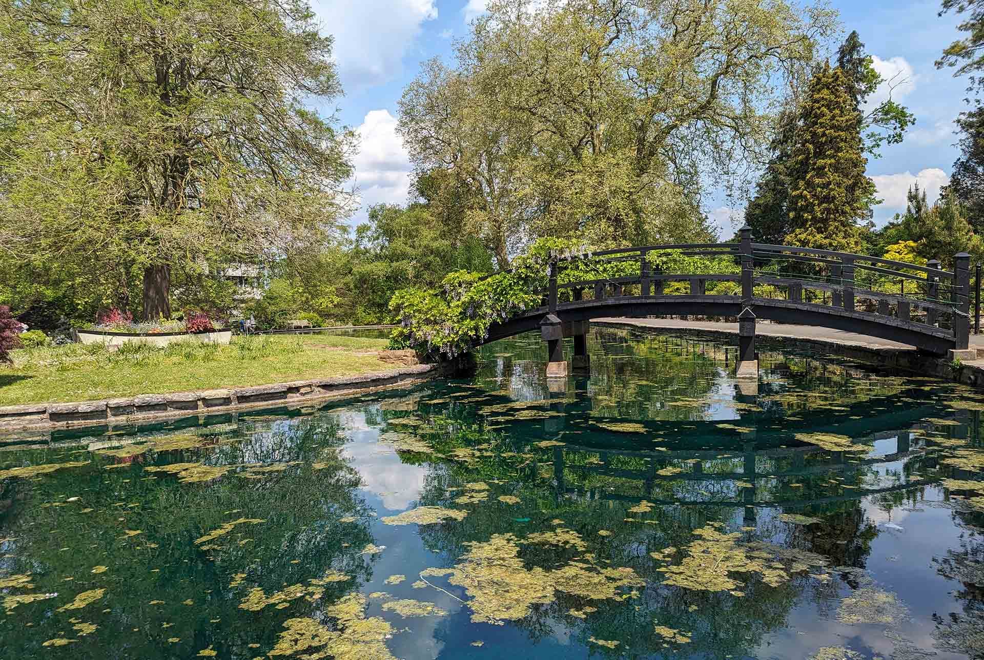 <span style="color:hsl(37, 40%, 63%);font-size:45px;">Born in Guildford. Built for Guildford.</span>